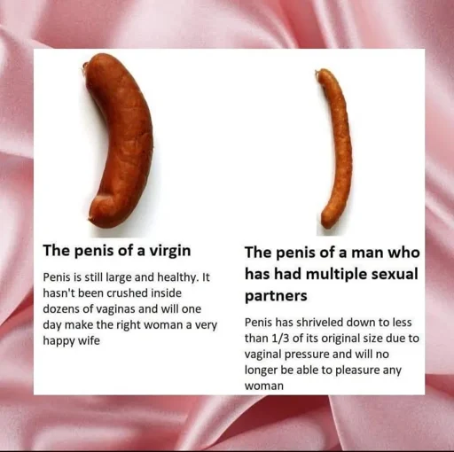 Two sausages side by side on a white background, surrounded by pink satin fabric. Left: a large, thick, curved brown sausage labelled “The penis of a virgin” with text claiming it is large and healthy and will make “the right woman a very happy wife.” Right: a small, thin, straight sausage labelled “The penis of a man who has had multiple sexual partners” with text claiming it has shrivelled to less than 1/3 its original size due to “vaginal pressure” and can no longer pleasure any woman.