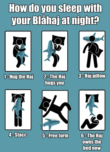 A poster that reads: How do you seep with your Blahaj at night? 1-hug the Haj 2-The Haj hugs you 3-Haj pillow 4-stacc 5-free form 6-The haj owns the bed now