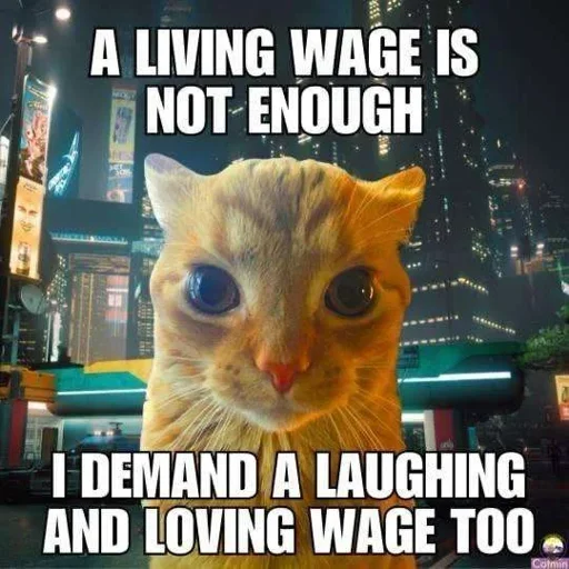 A living wage is not enough
[Silly cat pic]
I demand a laughing and loving wage too.